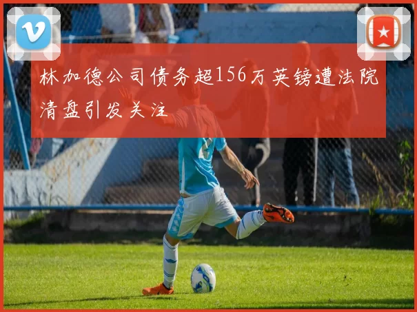 林加德公司债务超156万英镑遭法院清盘引发关注